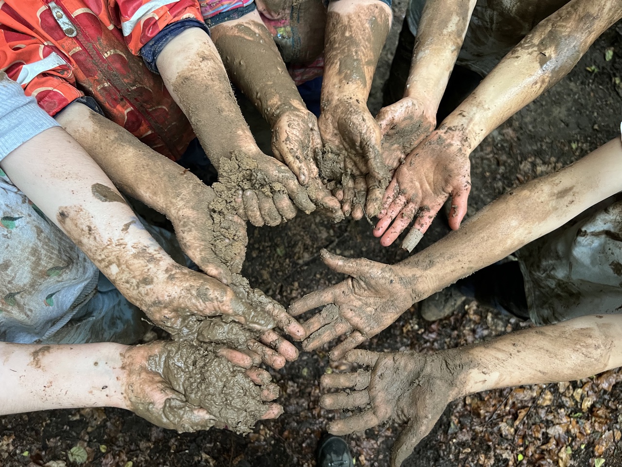 Viele Kinderhände mit Erde und Matsch bilden einen Kreis auf dem Waldboden