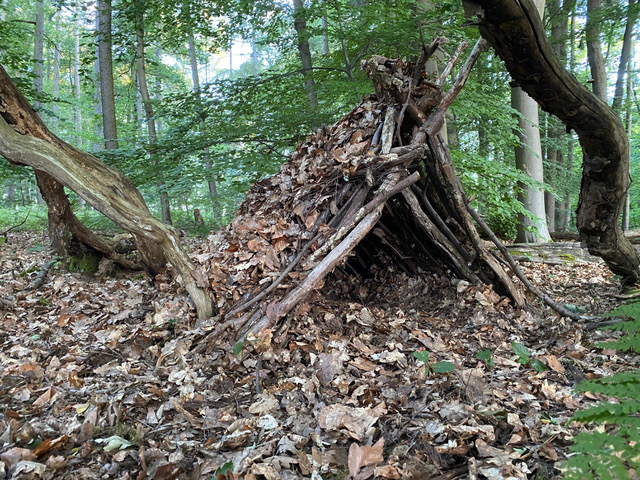 Aus Ästen und Laub gebaute Hütte im Wald