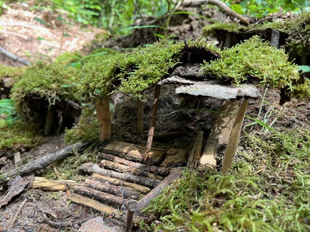 Kleine Hütte aus Zweigen zwischen Baumwurzeln