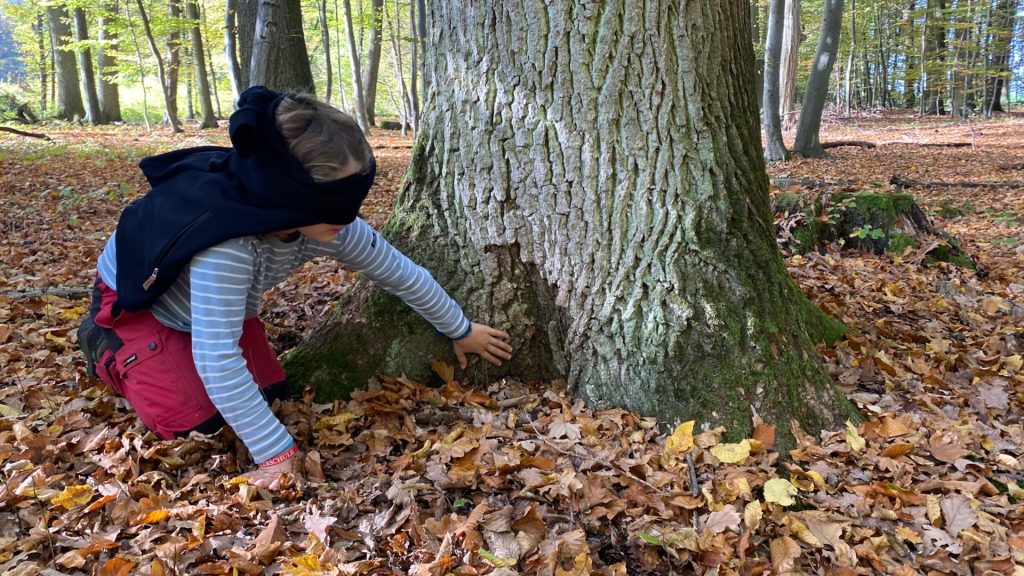 Kinder bei einem Wahrnehmungsspiel im Wald